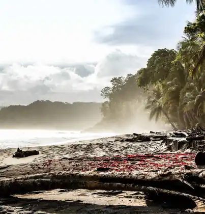 Montezuma, Costa Rica