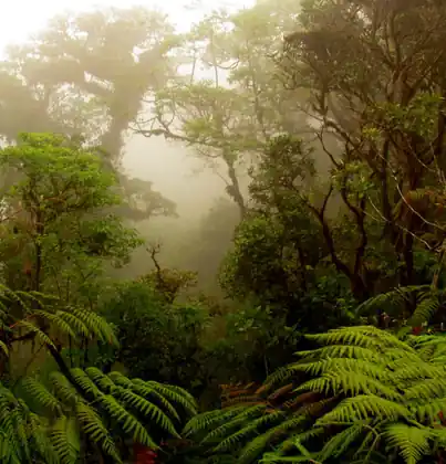 Monteverde, Costa Rica