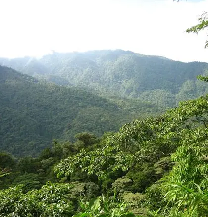 Braulio Carrillo, Costa Rica
