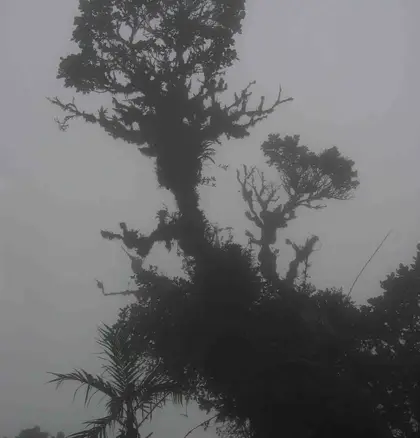 La Amistad, Costa Rica