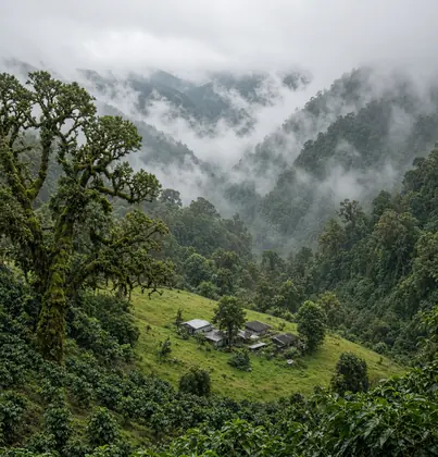 San Gerardo de Dota, Costa Rica