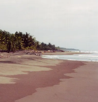 Tortuguero, Costa Rica