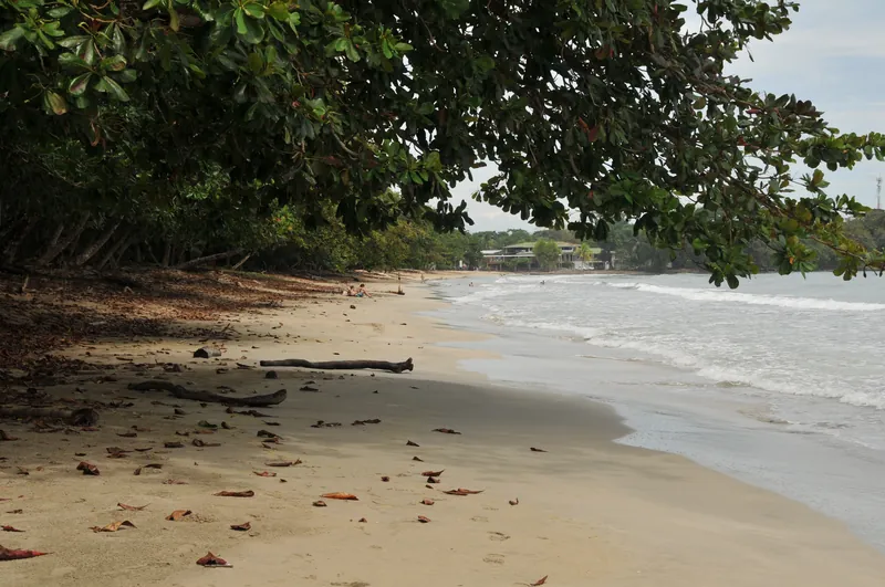 Una playa en el Parque Nacional Cahuita