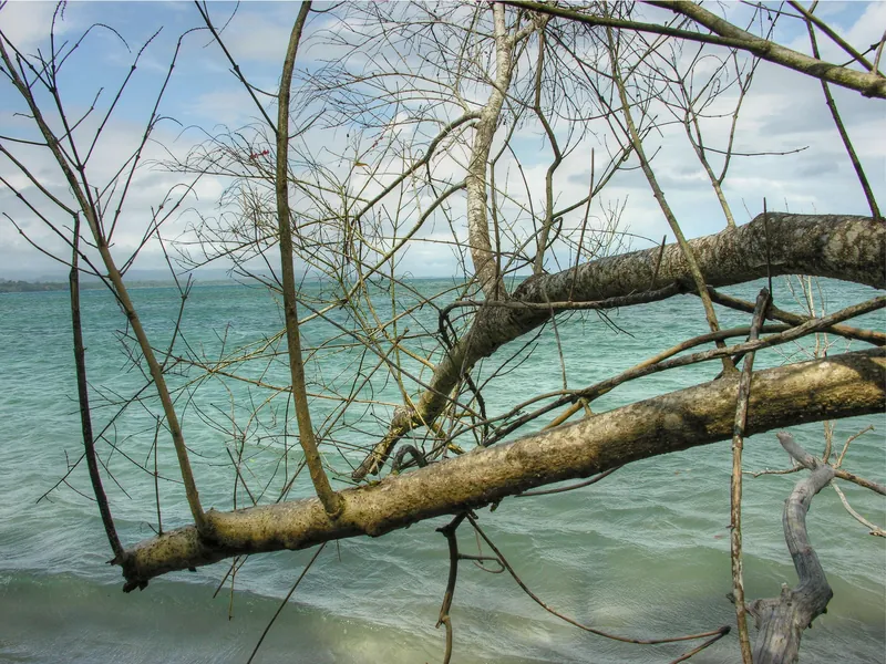 Agua clara en Cahuita