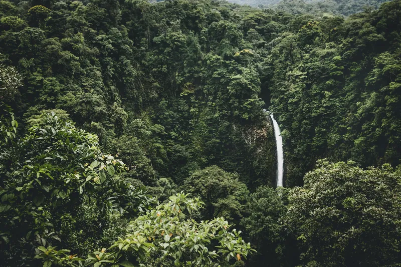 The waterfall in its forest canyon