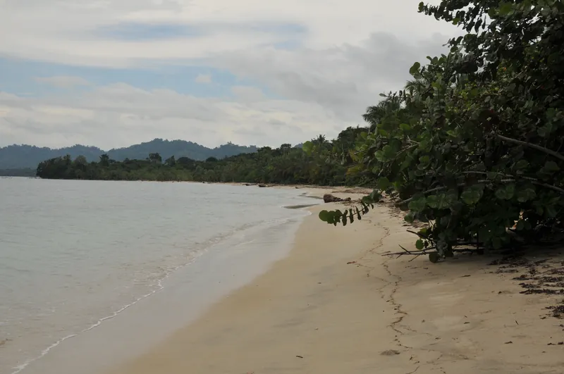 The beach at Manzanillo