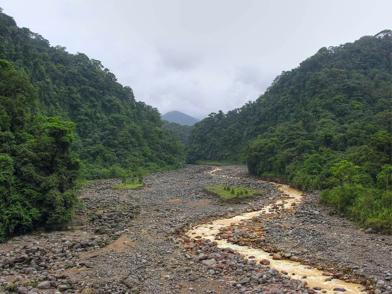Cerros boscosos en Braulio Carrillo