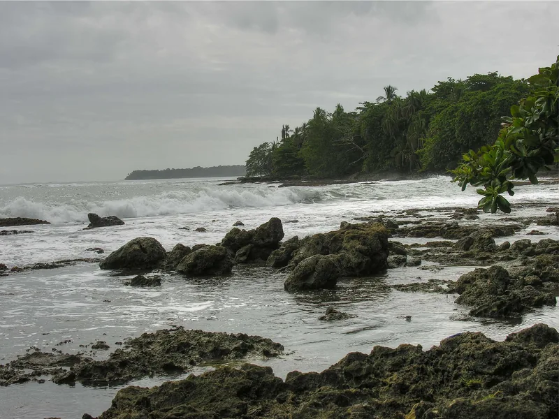 Waves on the Cahuita reef coast