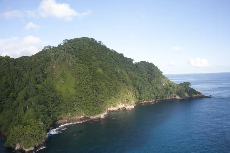 Los acantilados boscosos de la Isla del Coco