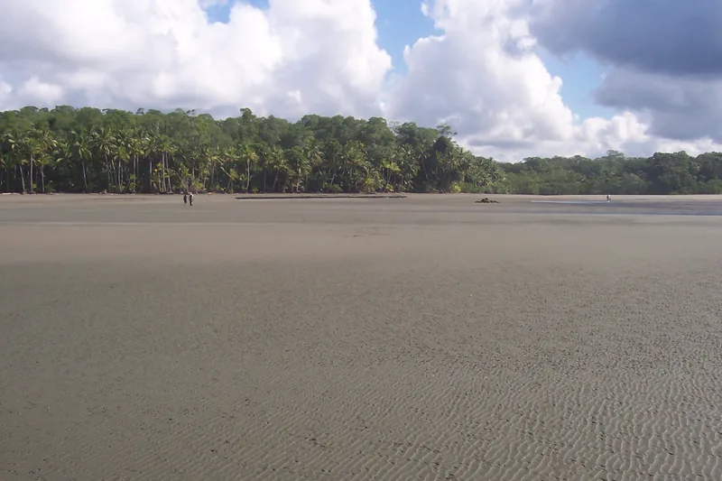 Playa Llorona en Corcovado