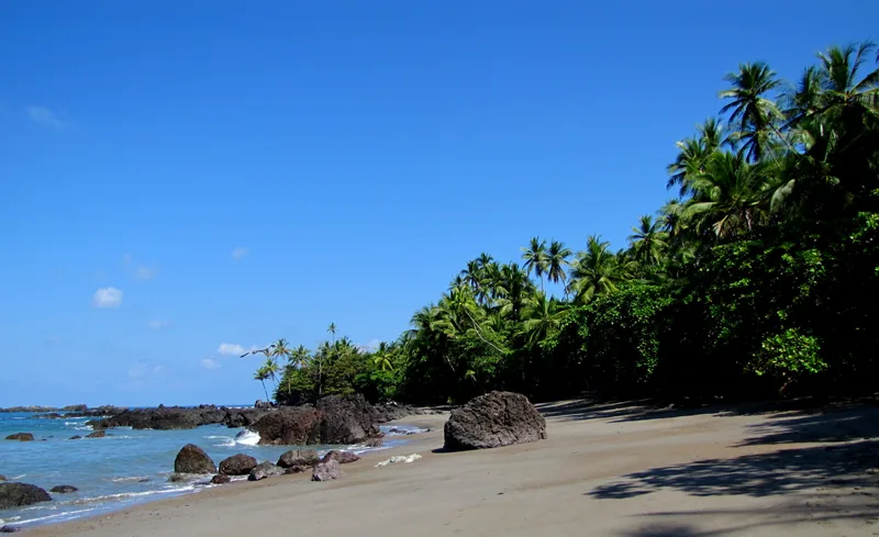 Rocas y palmeras en la costa de Corcovado