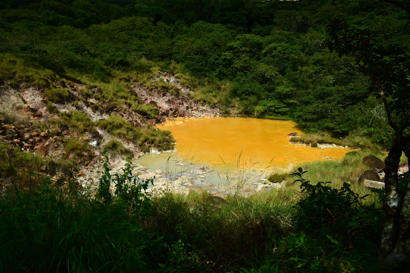 Una poza de azufre en el bosque del Rincón de la Vieja