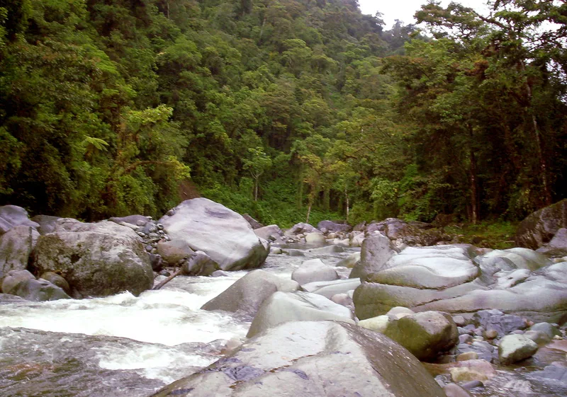 El río Orosi en el Parque Nacional Tapantí