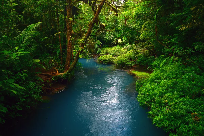 El río azul en el Parque Nacional Volcán Tenorio