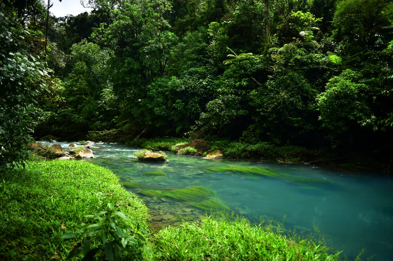 Agua turquesa en el Parque Nacional Volcán Tenorio