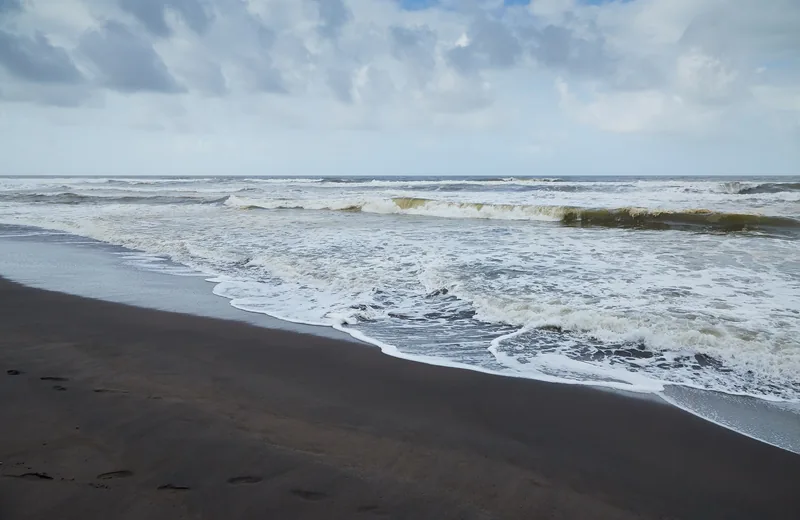 The wild beach of Tortuguero National Park