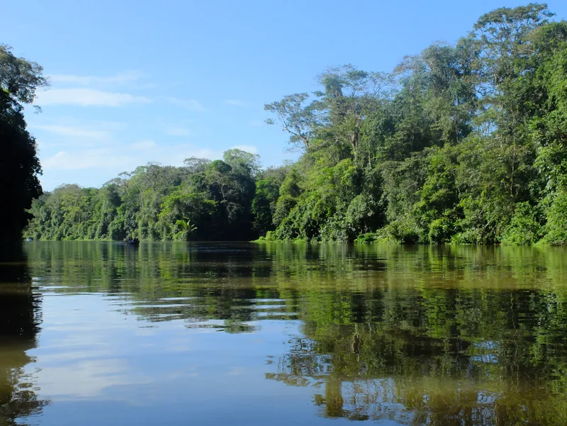 The canals of Tortuguero National Park