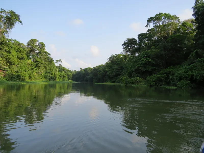 A calm canal in Tortuguero National Park