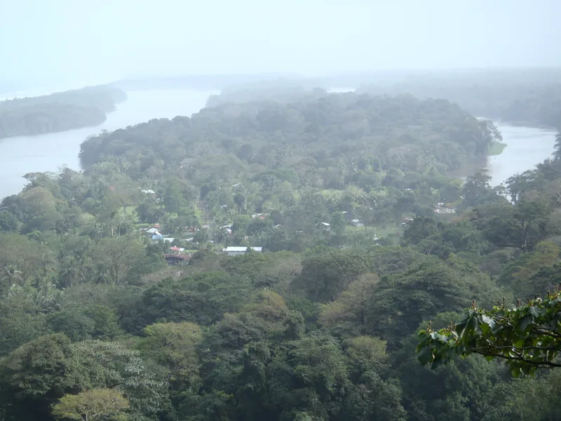 Forest and lagoon in Tortuguero National Park