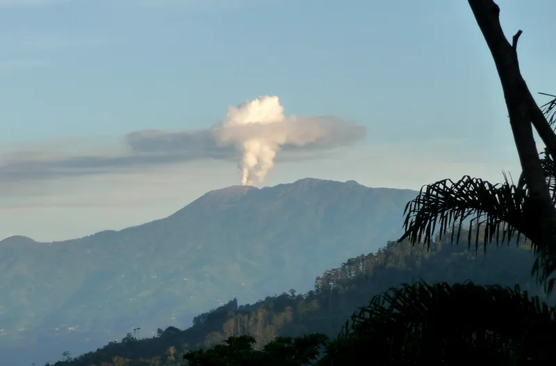 El volcán Turrialba sobre el bosque