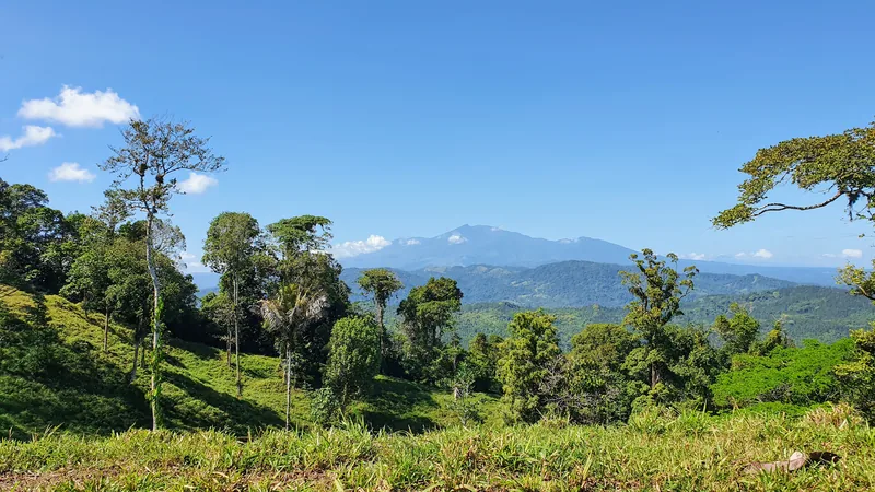 El volcán Turrialba desde el Camino de Costa Rica