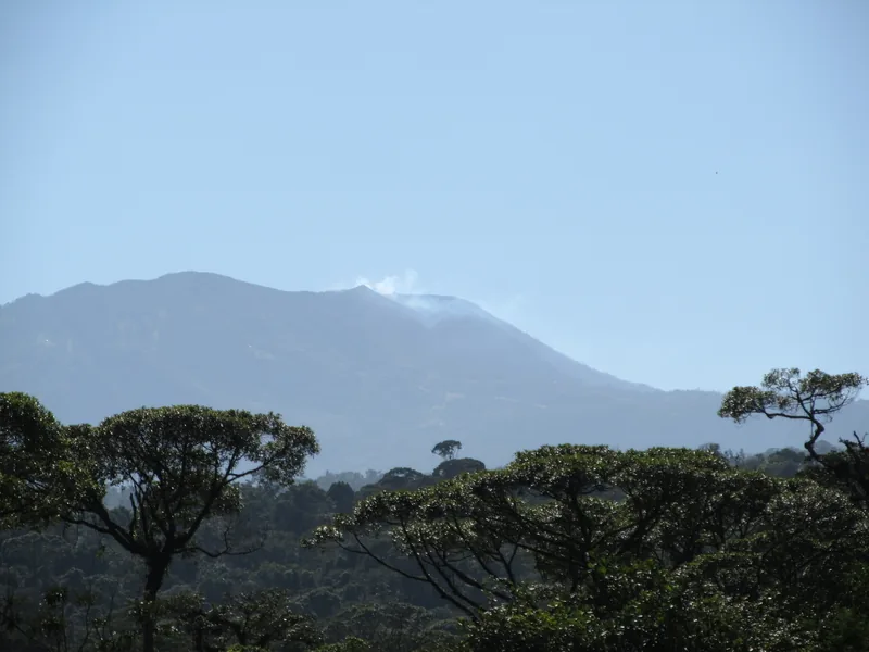 El volcán Turrialba visto desde el dosel del bosque