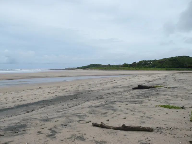 Playa Avellanas at low tide