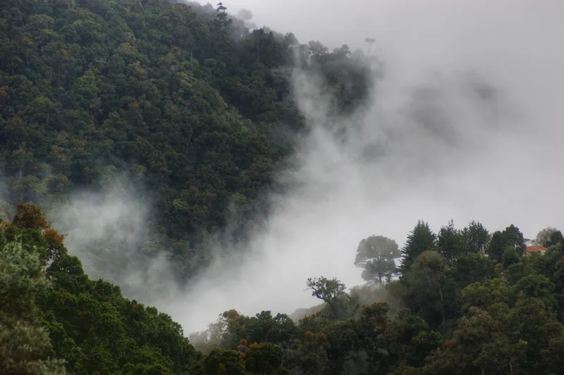 El valle de San Gerardo de Dota