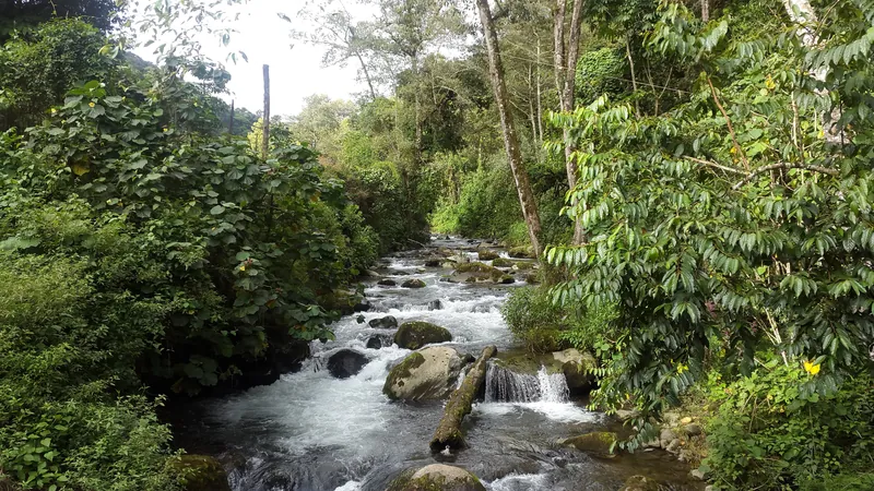 El río Savegre