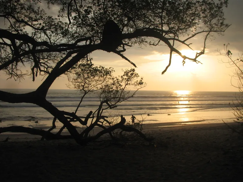 Sunset through the trees at Playa Santa Teresa