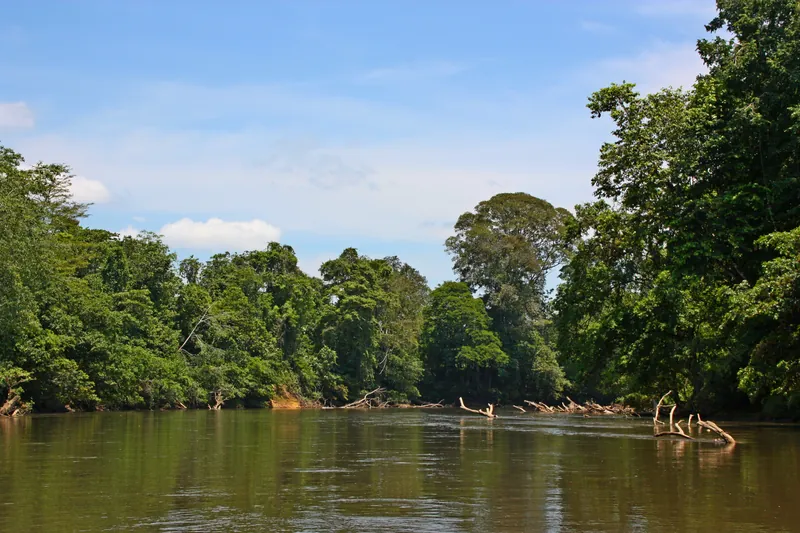 El río Sarapiquí