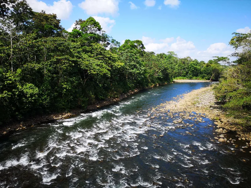 El río Sarapiquí en Tirimbina