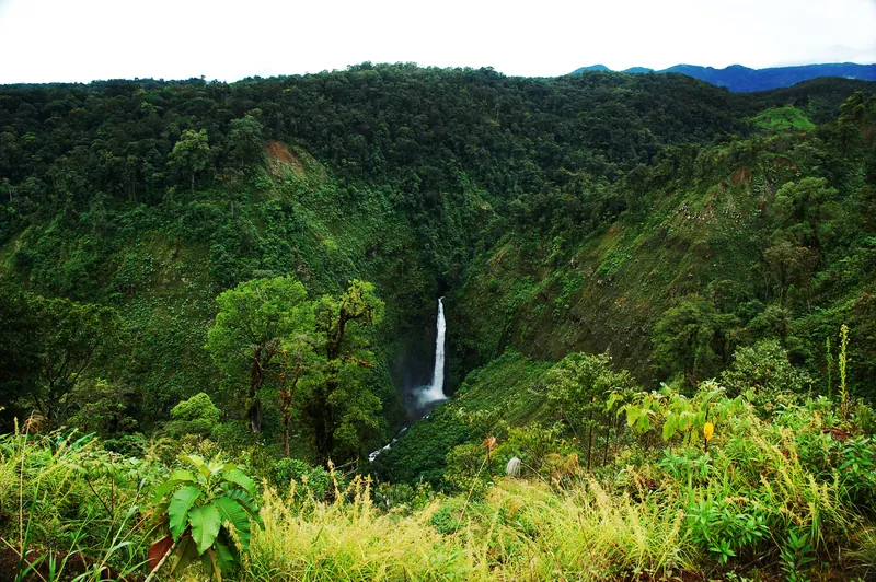 Una catarata del río Sarapiquí