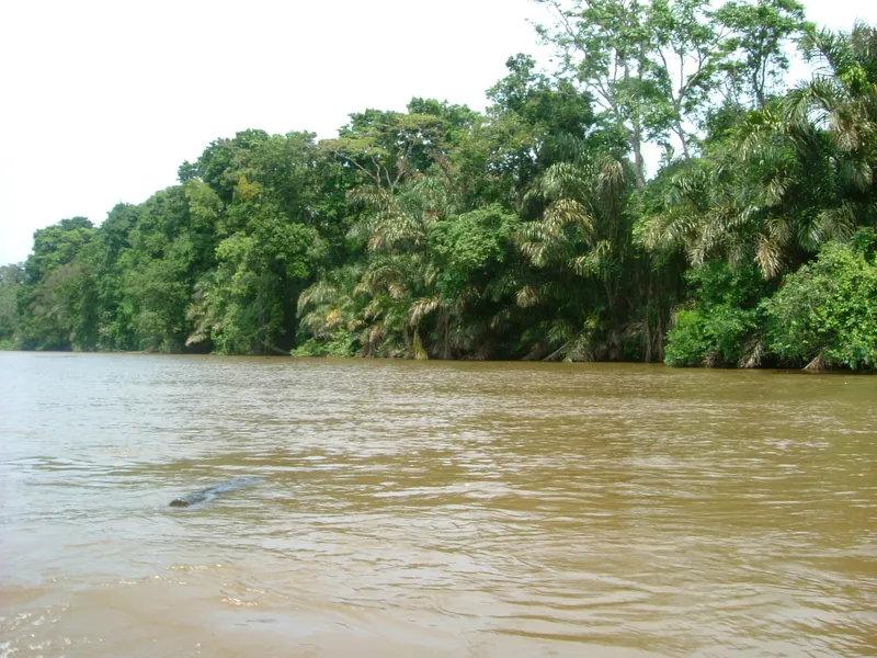 Un canal en Tortuguero