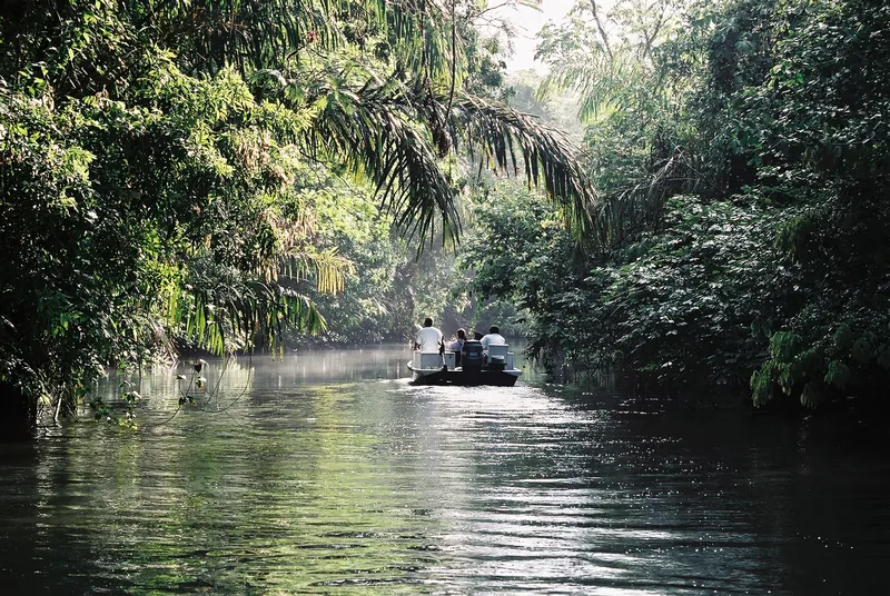 Un bote en los canales de Tortuguero