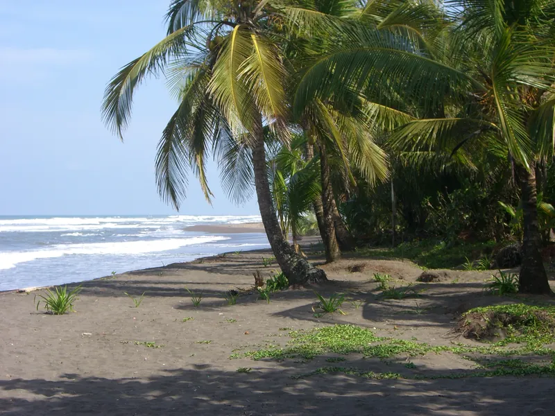 La playa de Tortuguero