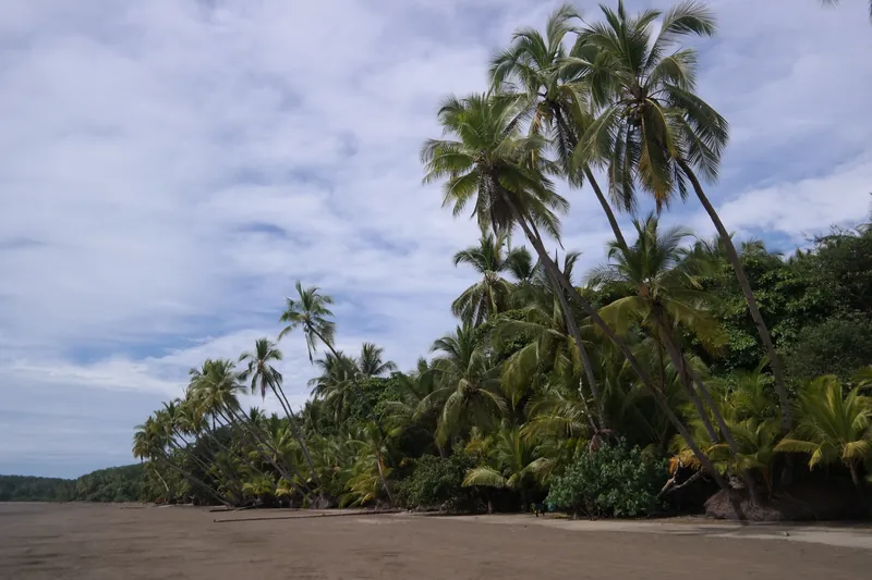 Playa Uvita