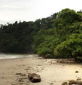 Cabo Blanco Absolute Nature Reserve, Costa Rica