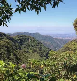 Monteverde Cloud Forest Reserve, Costa Rica