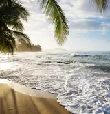 Costa Rica Guides