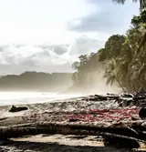 Montezuma, Costa Rica