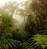 Monteverde, Costa Rica