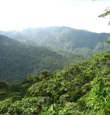 Parque Nacional Braulio Carrillo, Costa Rica