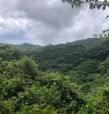 Parque Nacional Diriá, Costa Rica