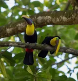 Parque Nacional Piedras Blancas, Costa Rica