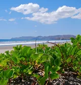 Parque Nacional Santa Rosa, Costa Rica